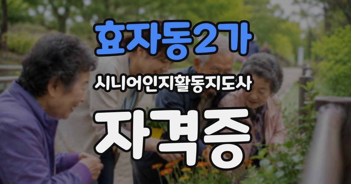 효자동2가 시니어인지활동지도사 자격증