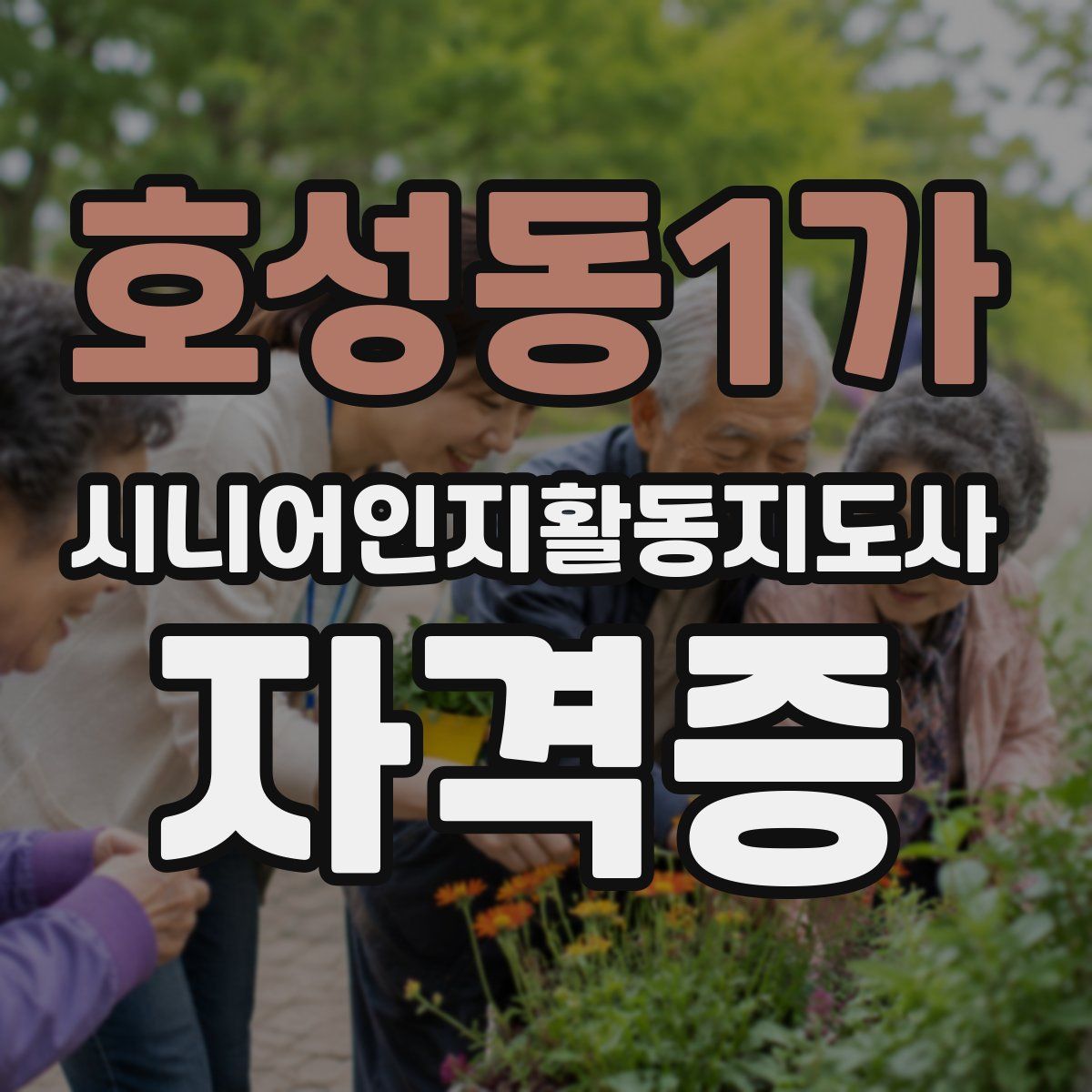 호성동1가 시니어인지활동지도사 자격증