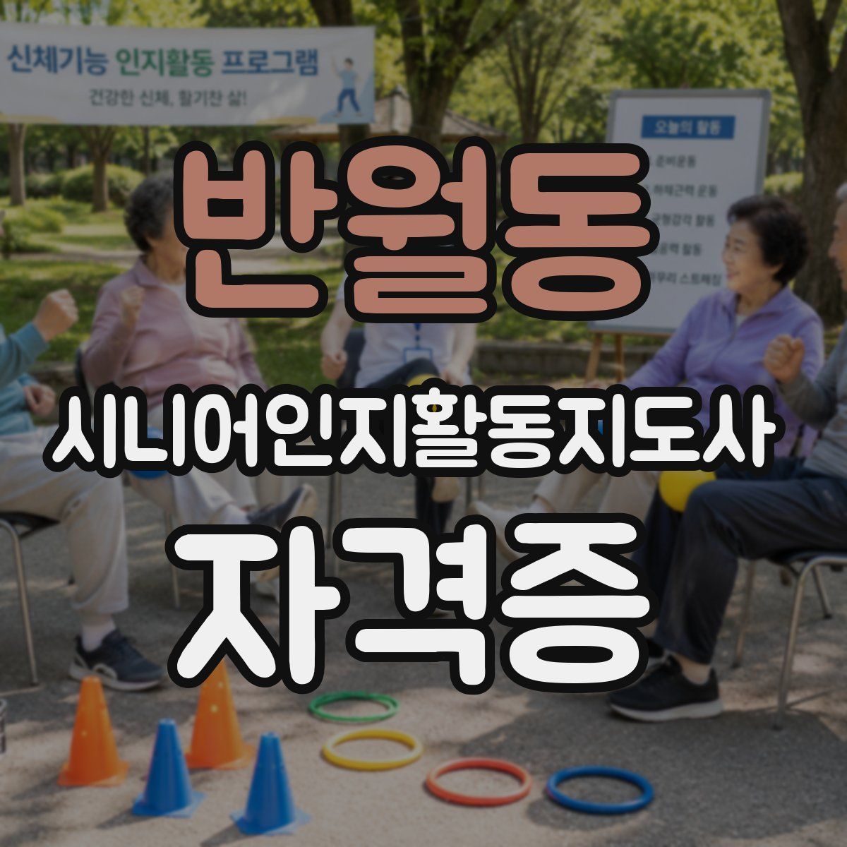 반월동 시니어인지활동지도사 자격증