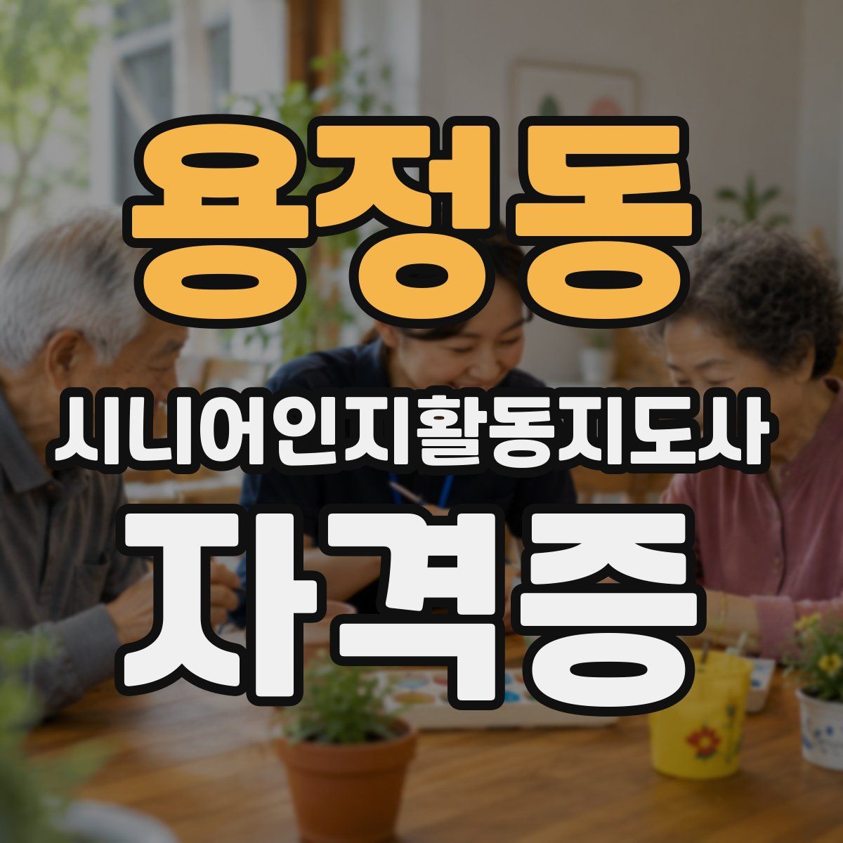 용정동 시니어인지활동지도사 자격증