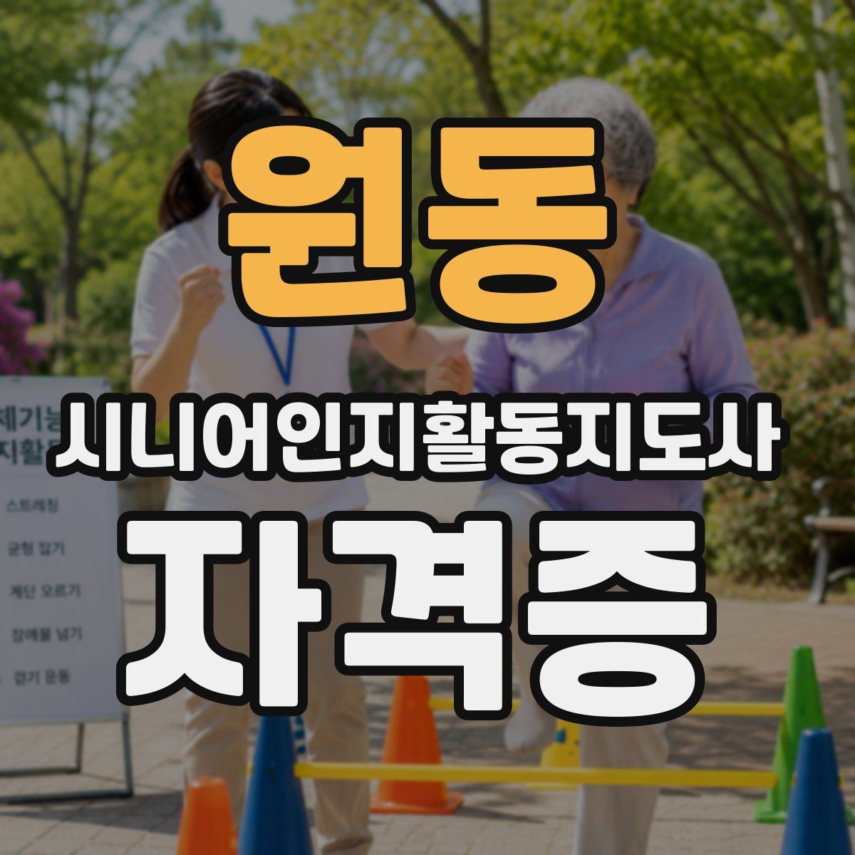 원동 시니어인지활동지도사 자격증