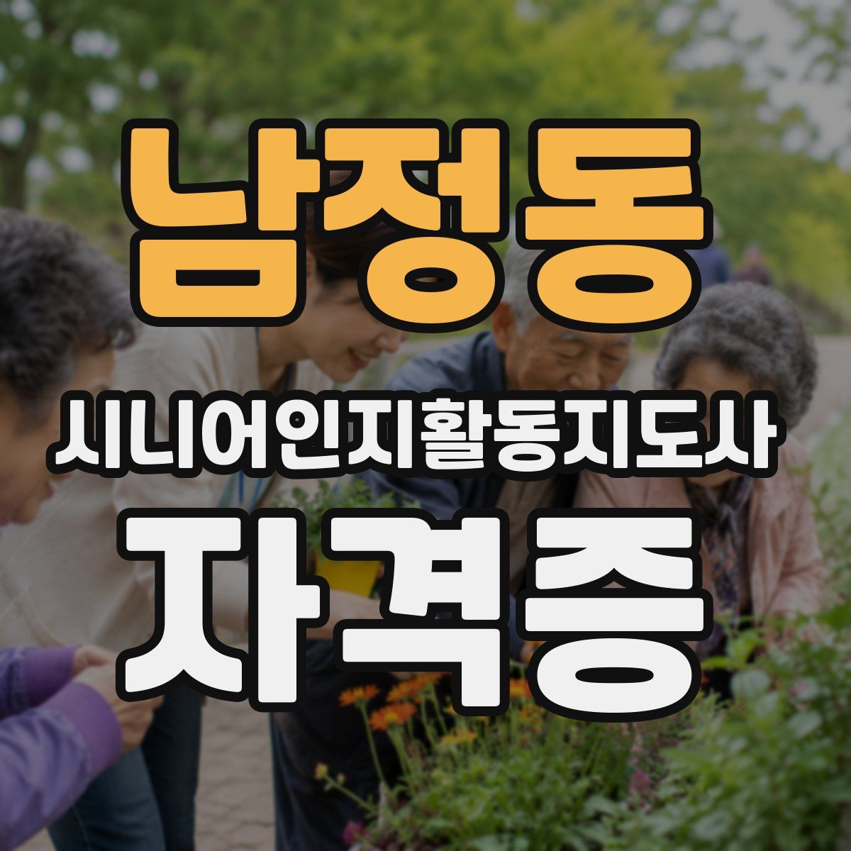 남정동 시니어인지활동지도사 자격증