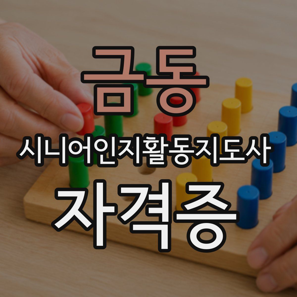 금동 시니어인지활동지도사 자격증