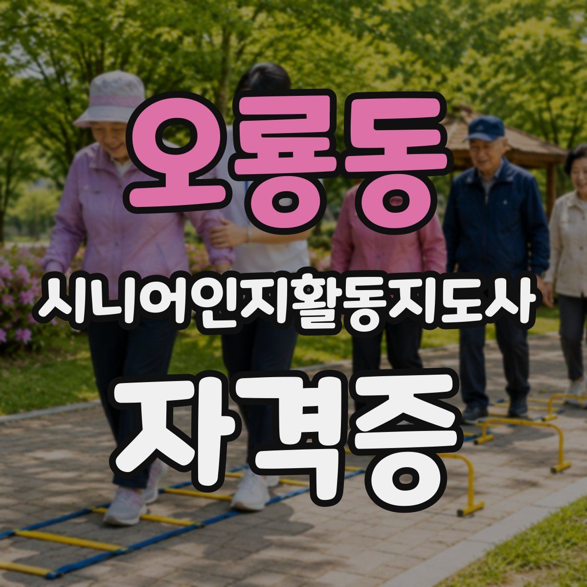 오룡동 시니어인지활동지도사 자격증