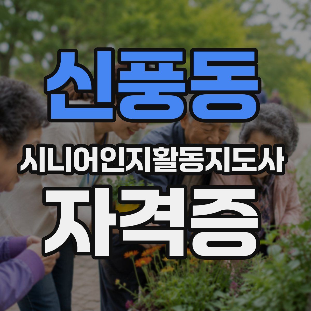 신풍동 시니어인지활동지도사 자격증