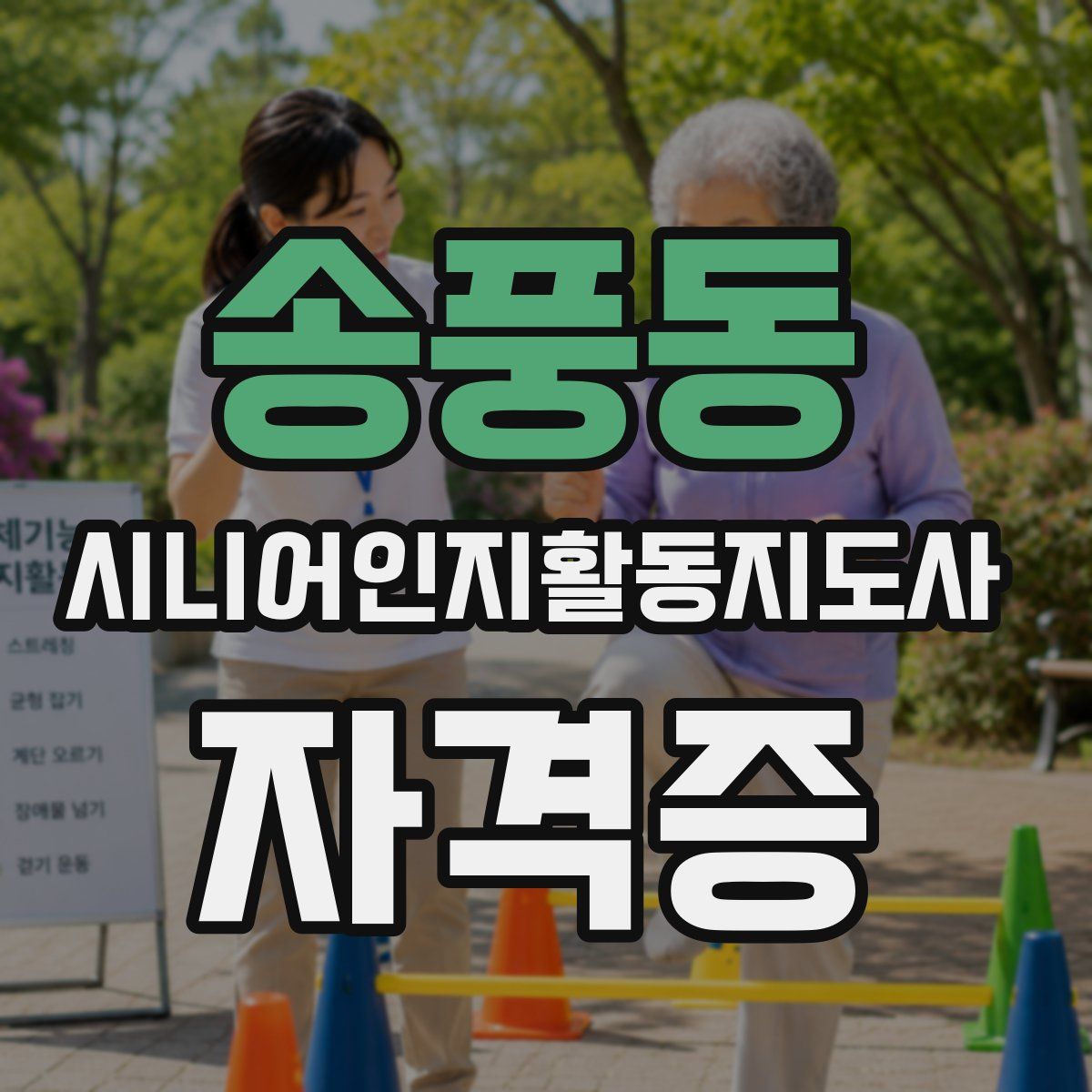 송풍동 시니어인지활동지도사 자격증