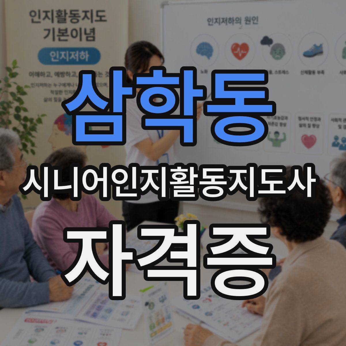 삼학동 시니어인지활동지도사 자격증