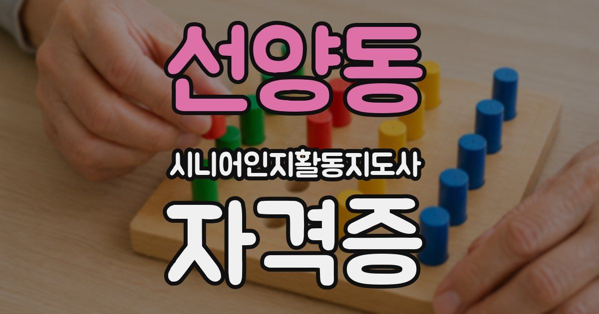 선양동 시니어인지활동지도사 자격증