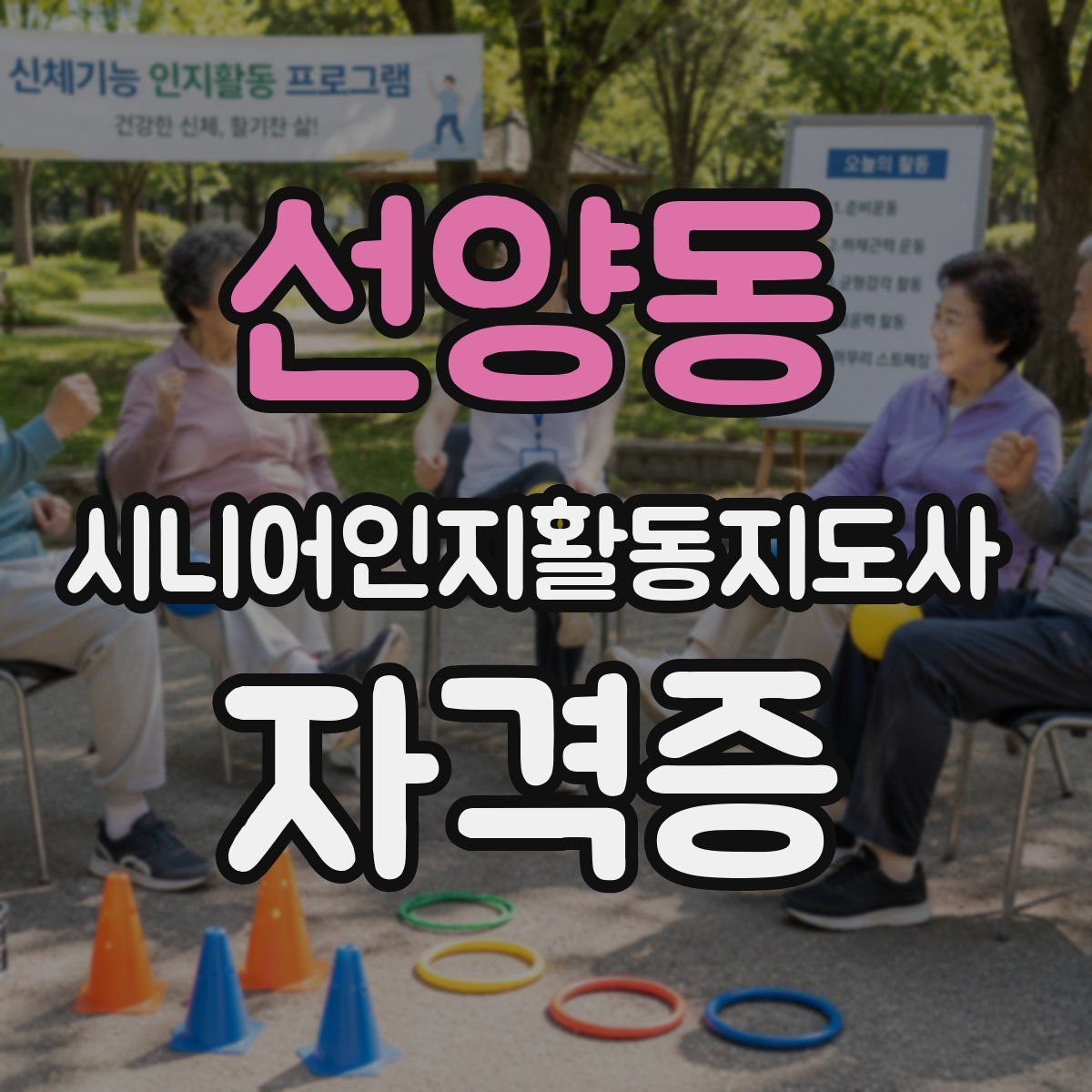 선양동 시니어인지활동지도사 자격증