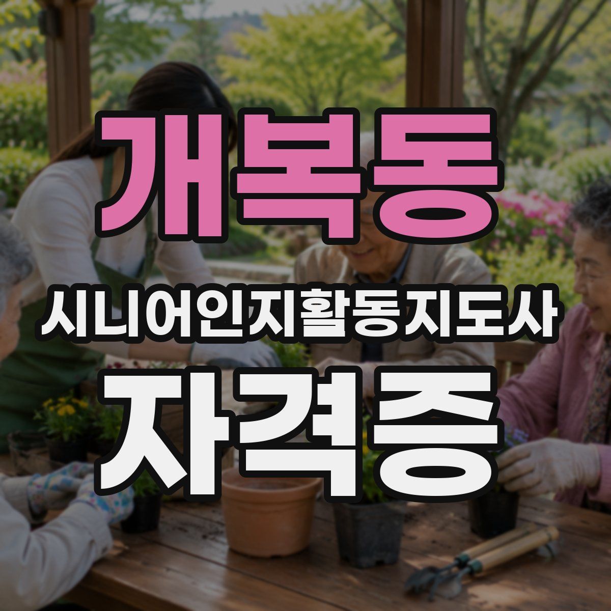 개복동 시니어인지활동지도사 자격증