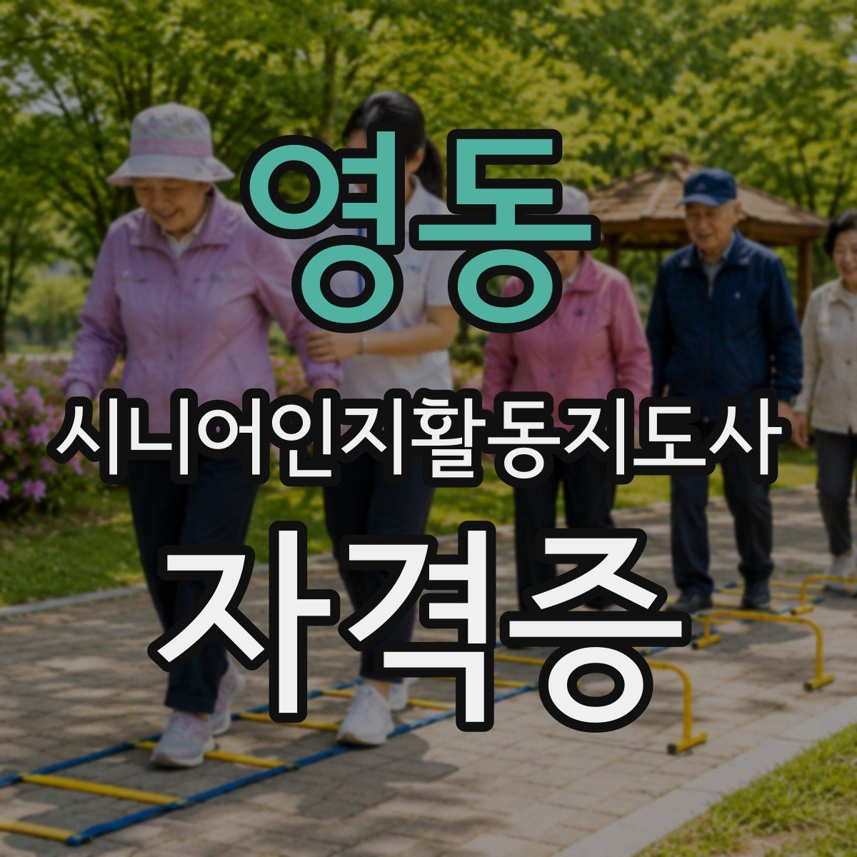 영동 시니어인지활동지도사 자격증