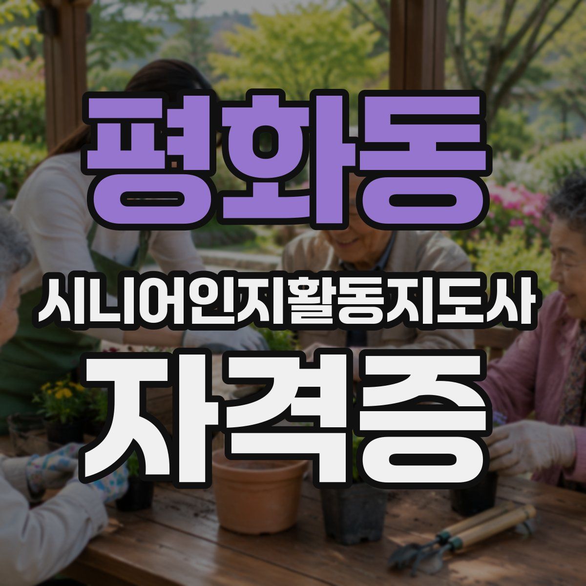 평화동 시니어인지활동지도사 자격증