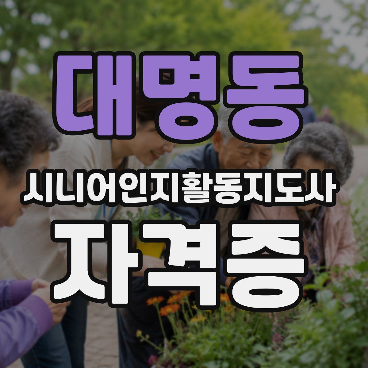 대명동 시니어인지활동지도사 자격증
