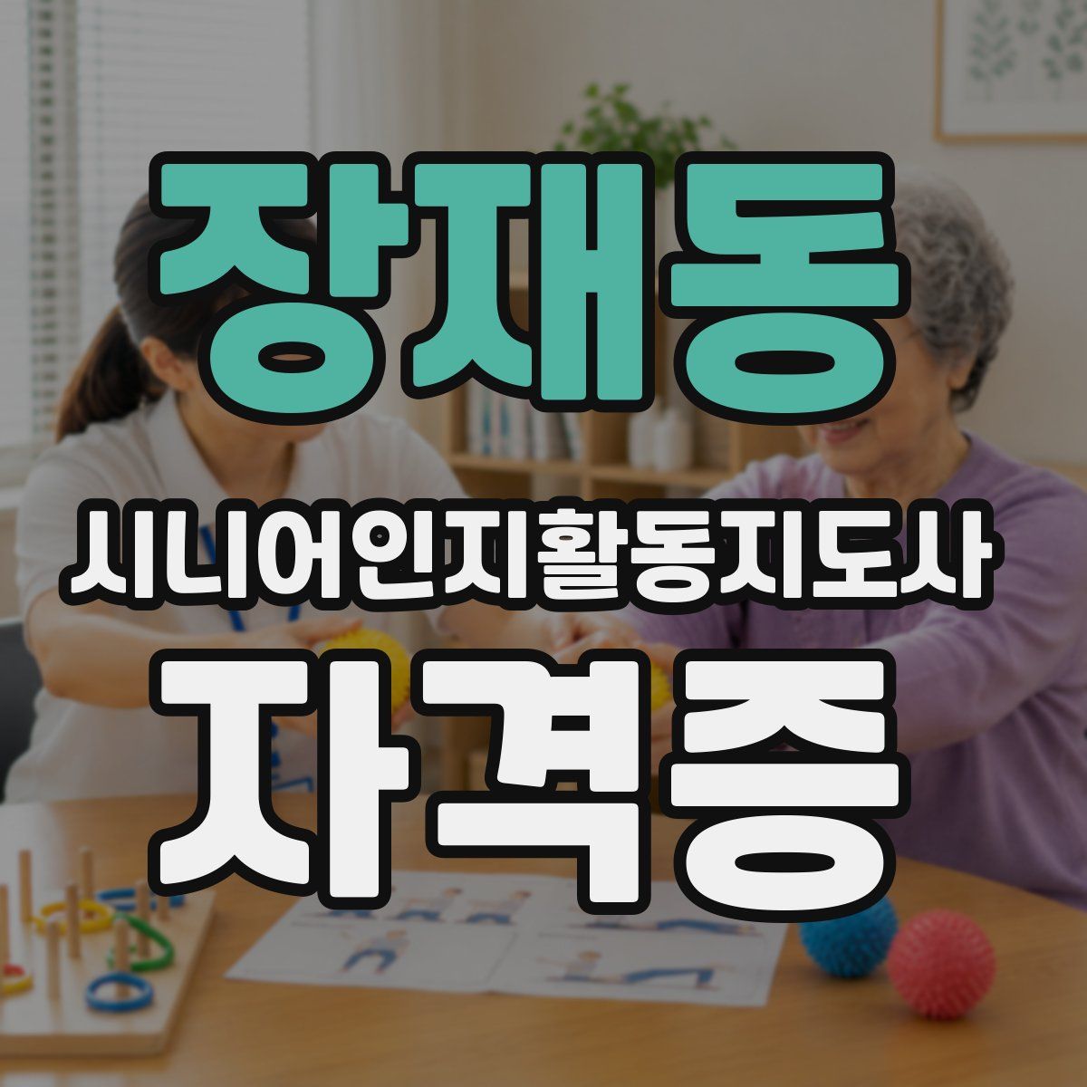 장재동 시니어인지활동지도사 자격증