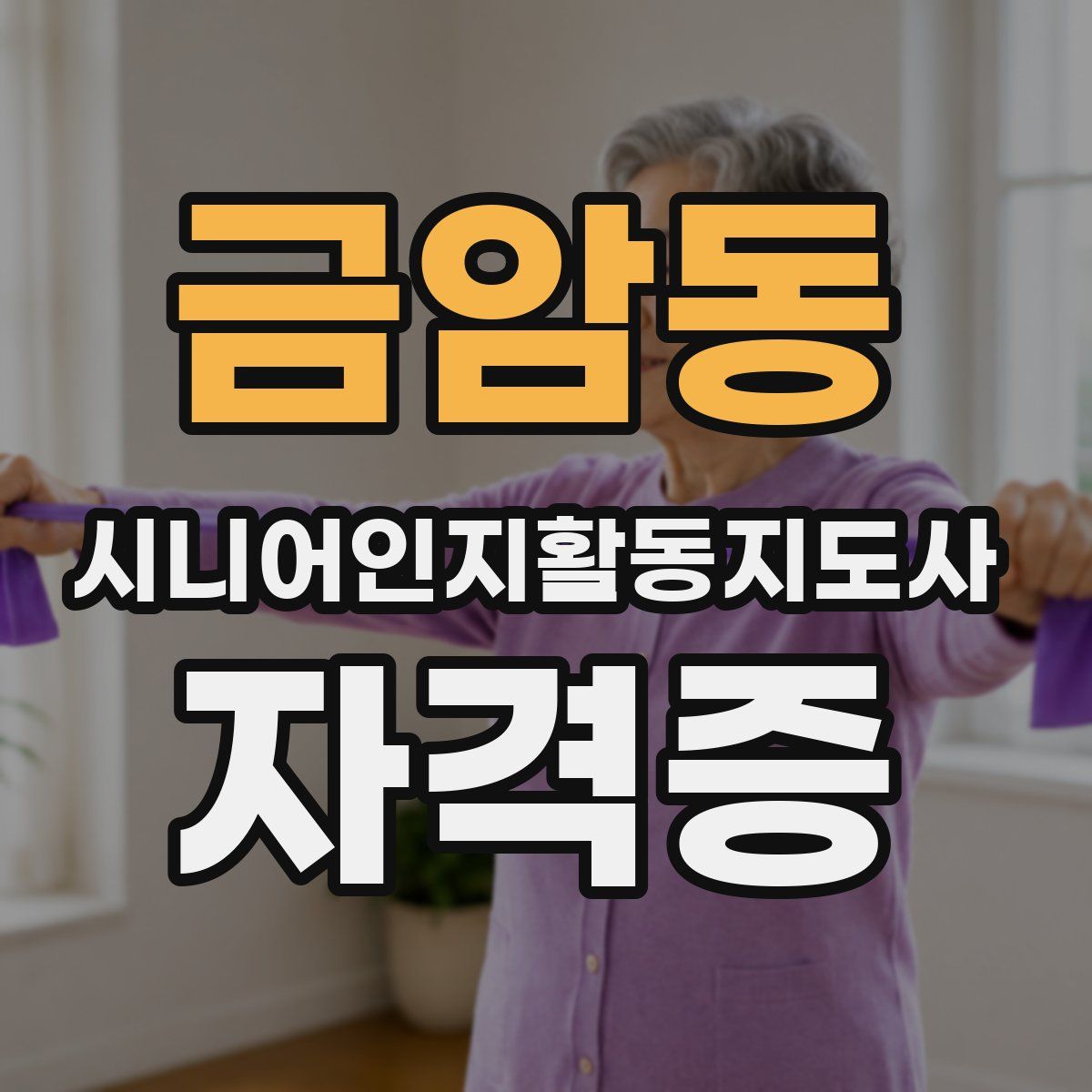 금암동 시니어인지활동지도사 자격증