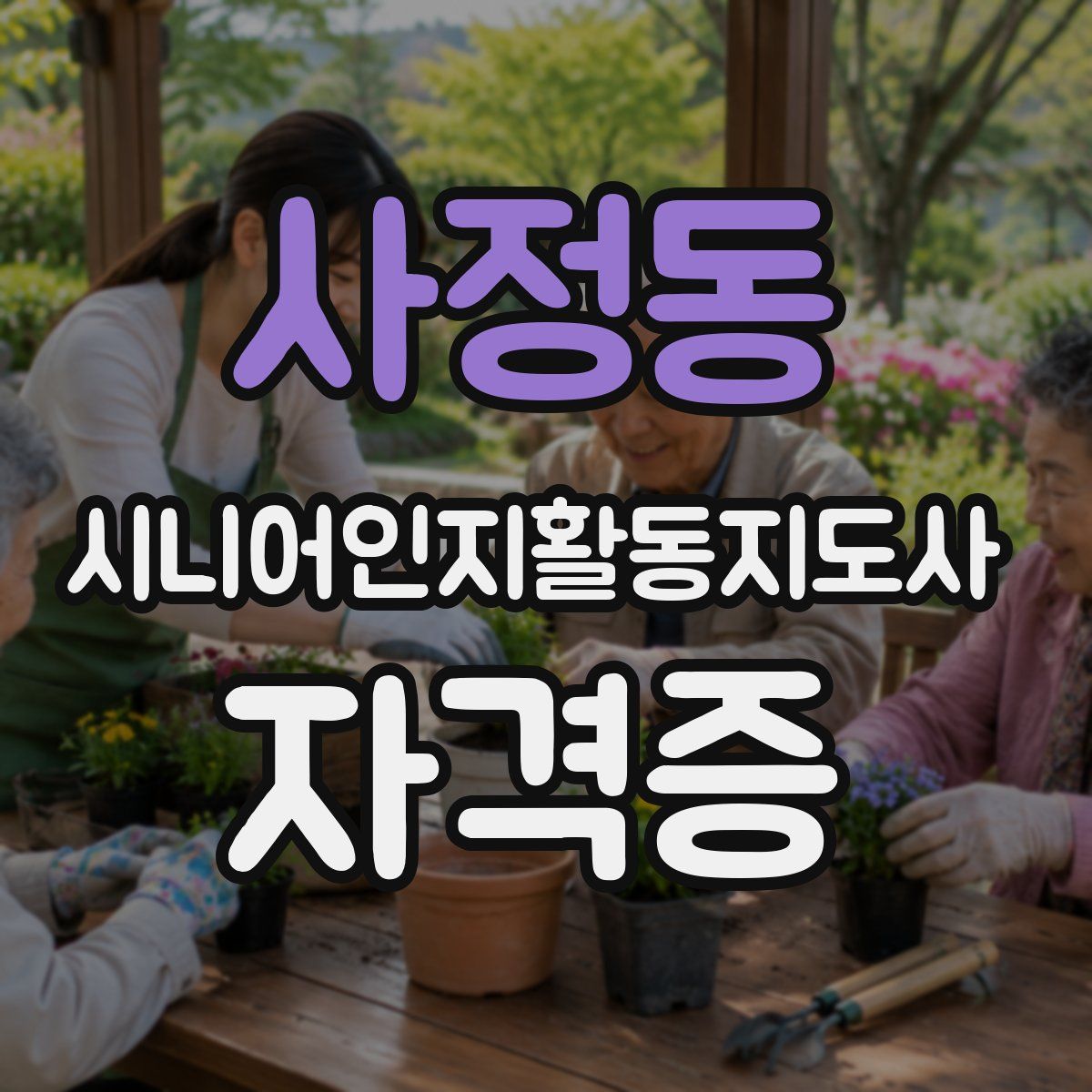 사정동 시니어인지활동지도사 자격증