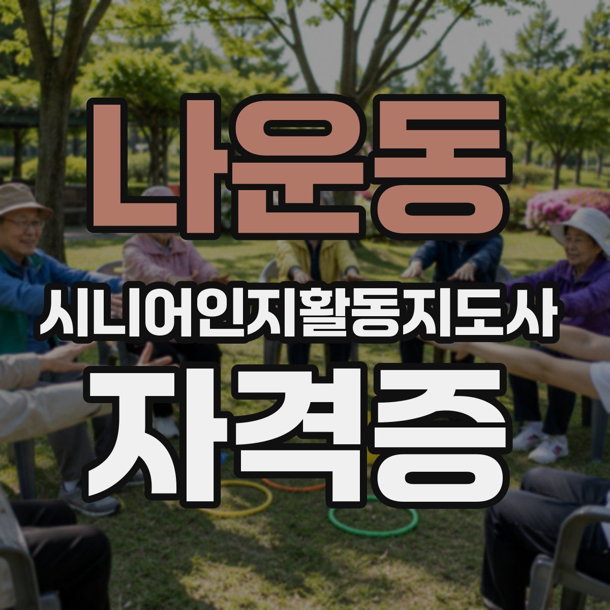 나운동 시니어인지활동지도사 자격증