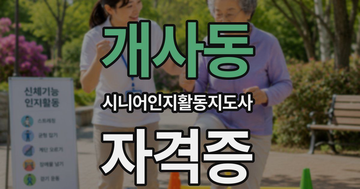 개사동 시니어인지활동지도사 자격증