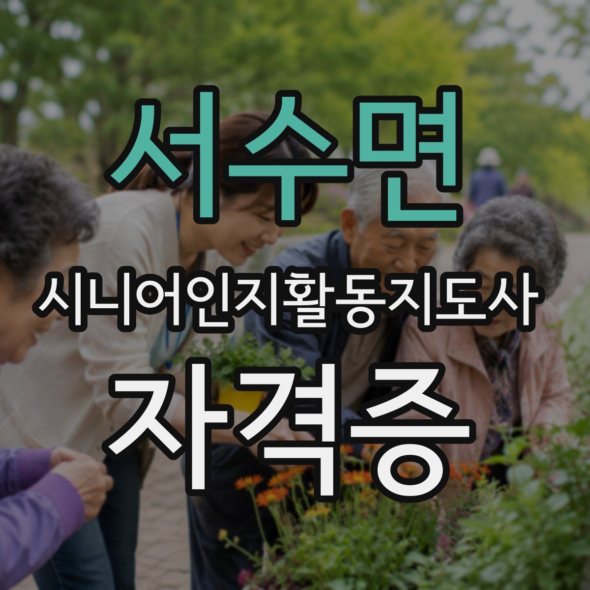 서수면 시니어인지활동지도사 자격증