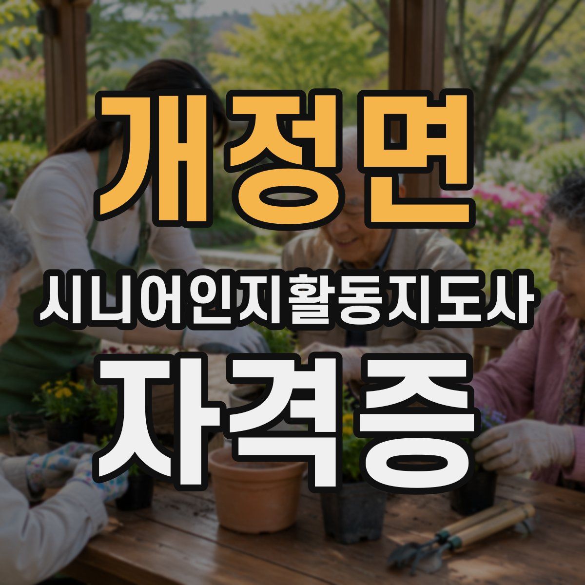 개정면 시니어인지활동지도사 자격증