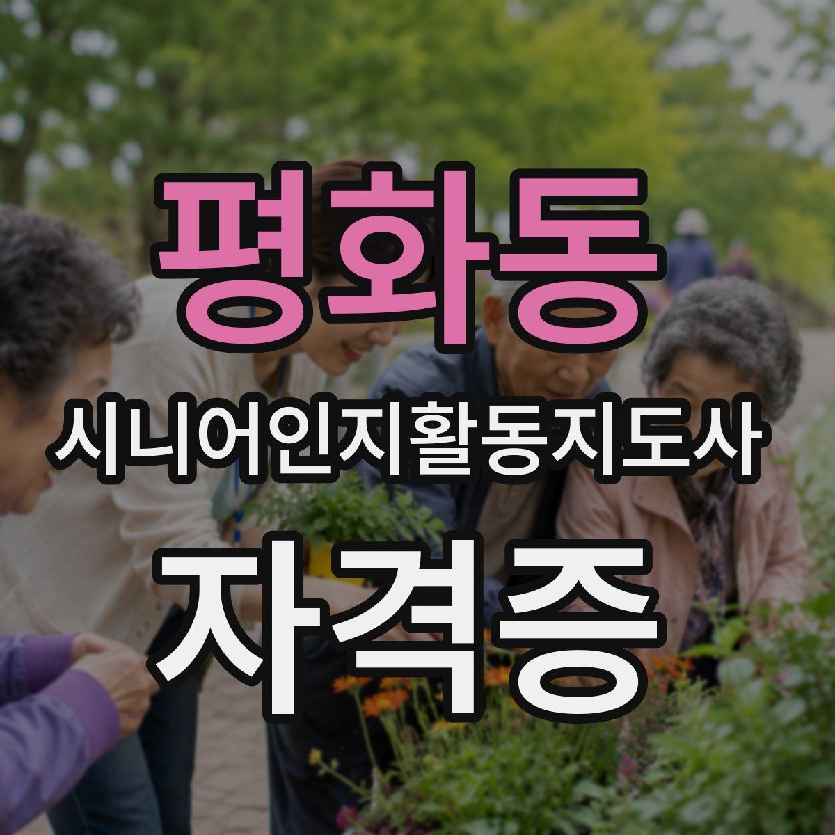 평화동 시니어인지활동지도사 자격증