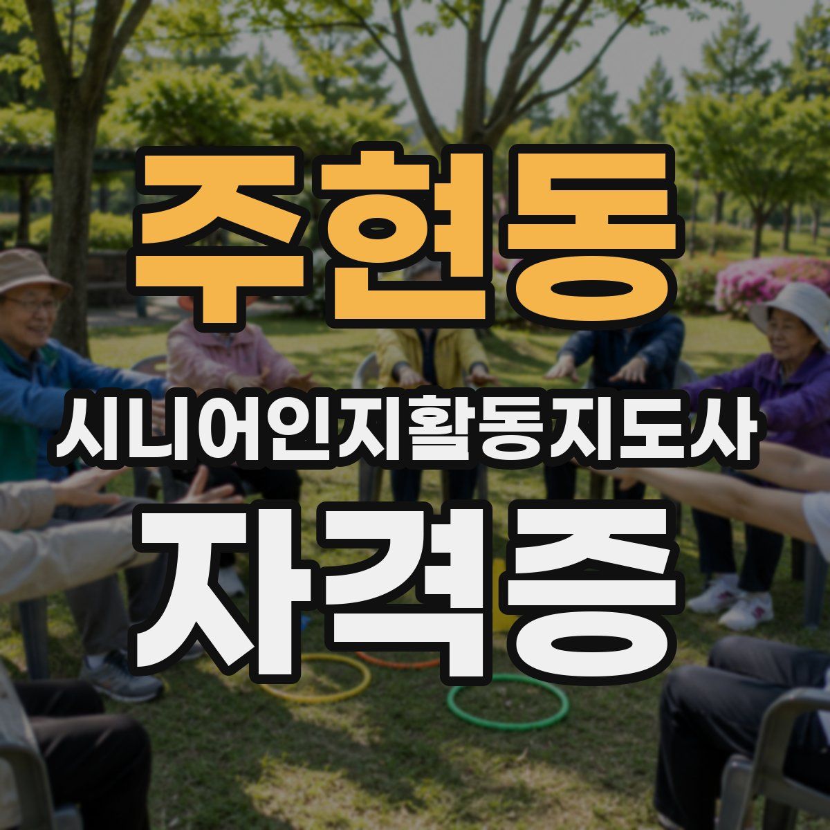 주현동 시니어인지활동지도사 자격증