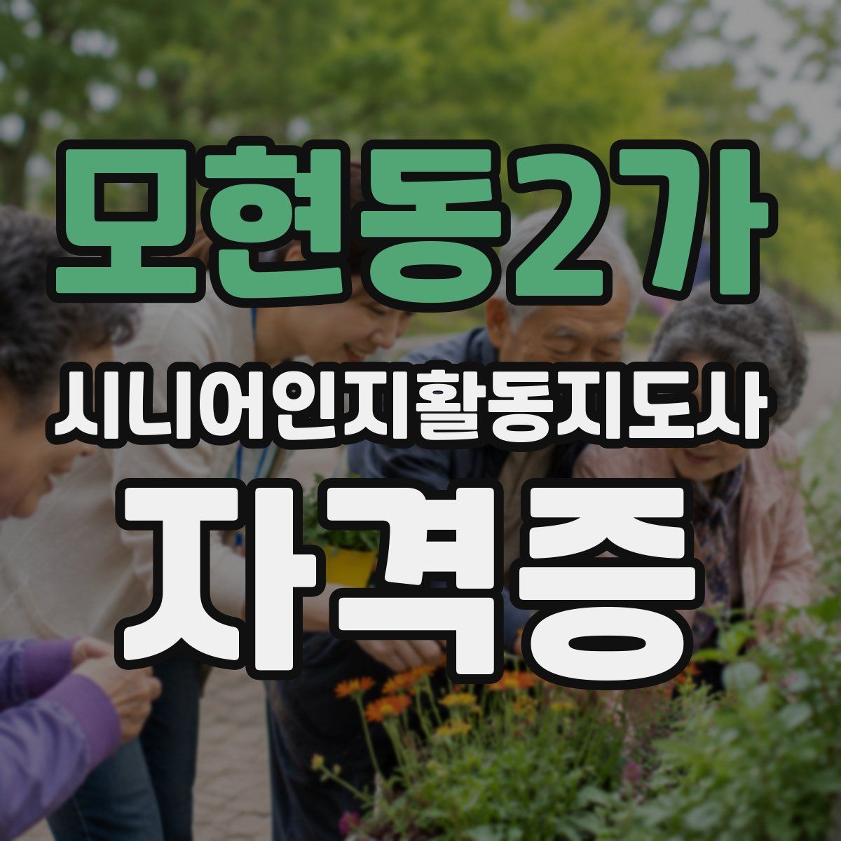모현동2가 시니어인지활동지도사 자격증