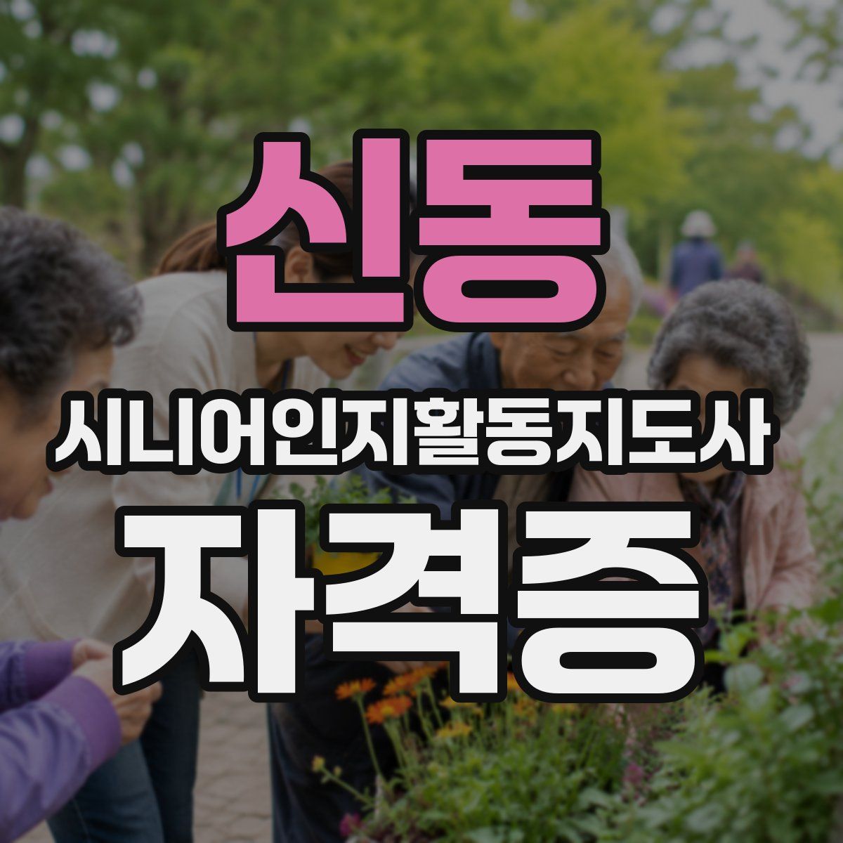 신동 시니어인지활동지도사 자격증