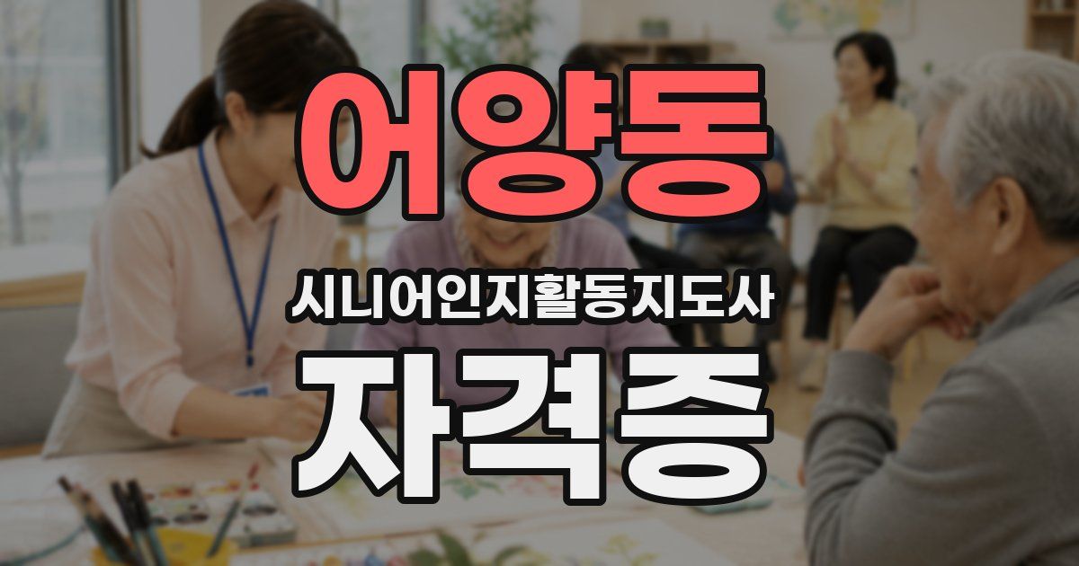 어양동 시니어인지활동지도사 자격증
