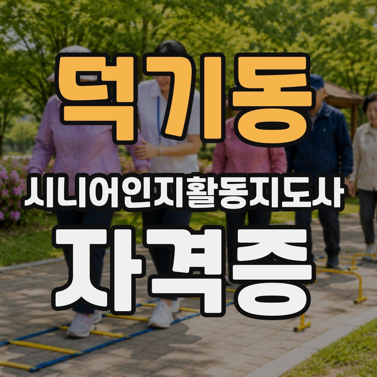덕기동 시니어인지활동지도사 자격증