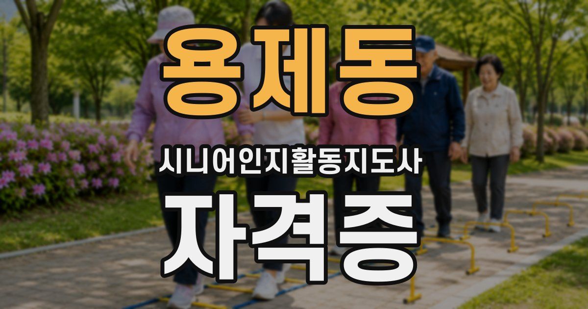 용제동 시니어인지활동지도사 자격증