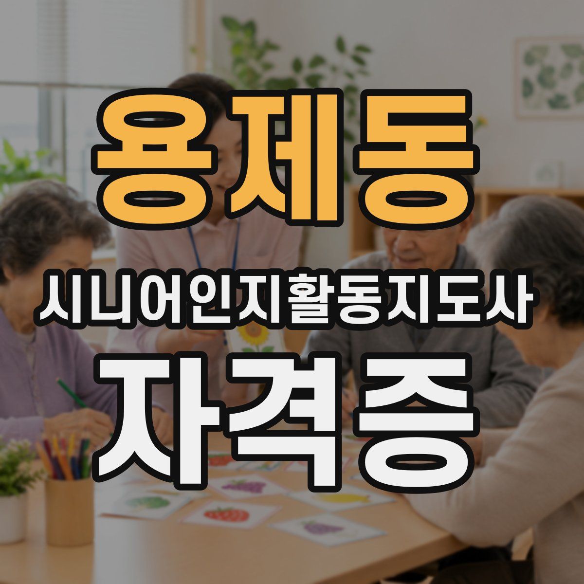 용제동 시니어인지활동지도사 자격증