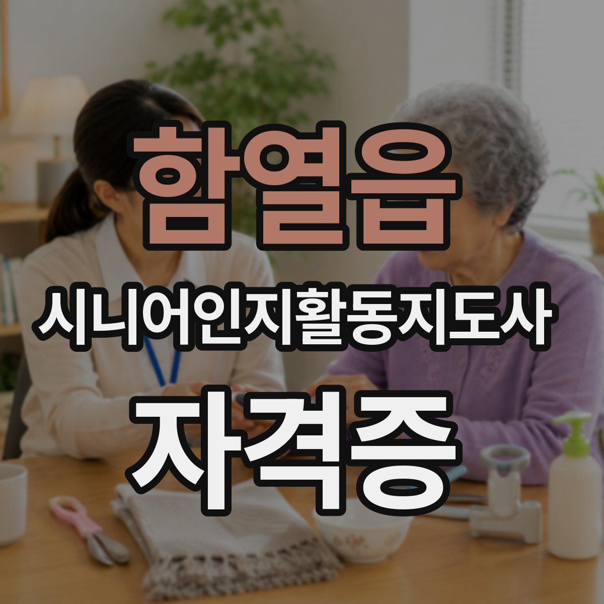 함열읍 시니어인지활동지도사 자격증