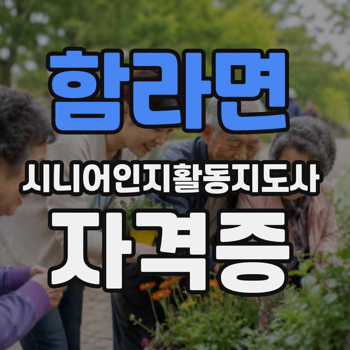 함라면 시니어인지활동지도사 자격증