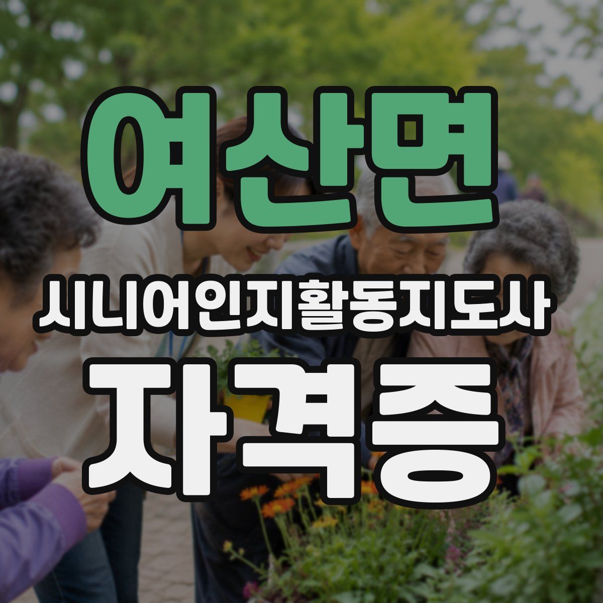 여산면 시니어인지활동지도사 자격증