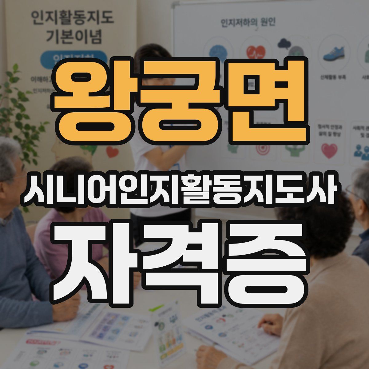 왕궁면 시니어인지활동지도사 자격증