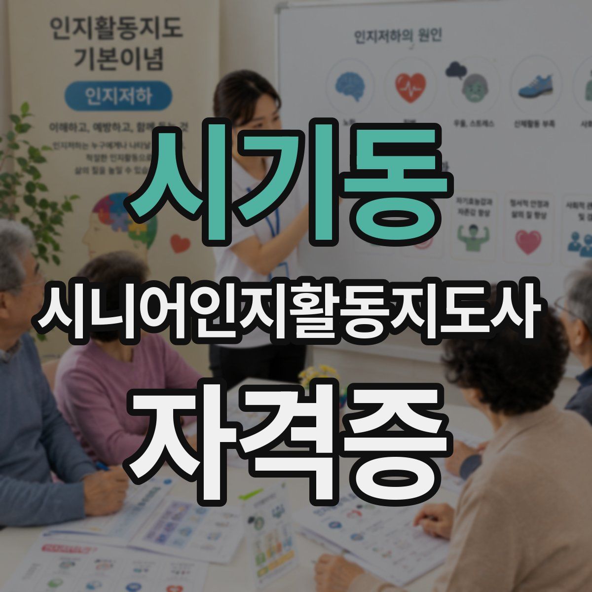 시기동 시니어인지활동지도사 자격증