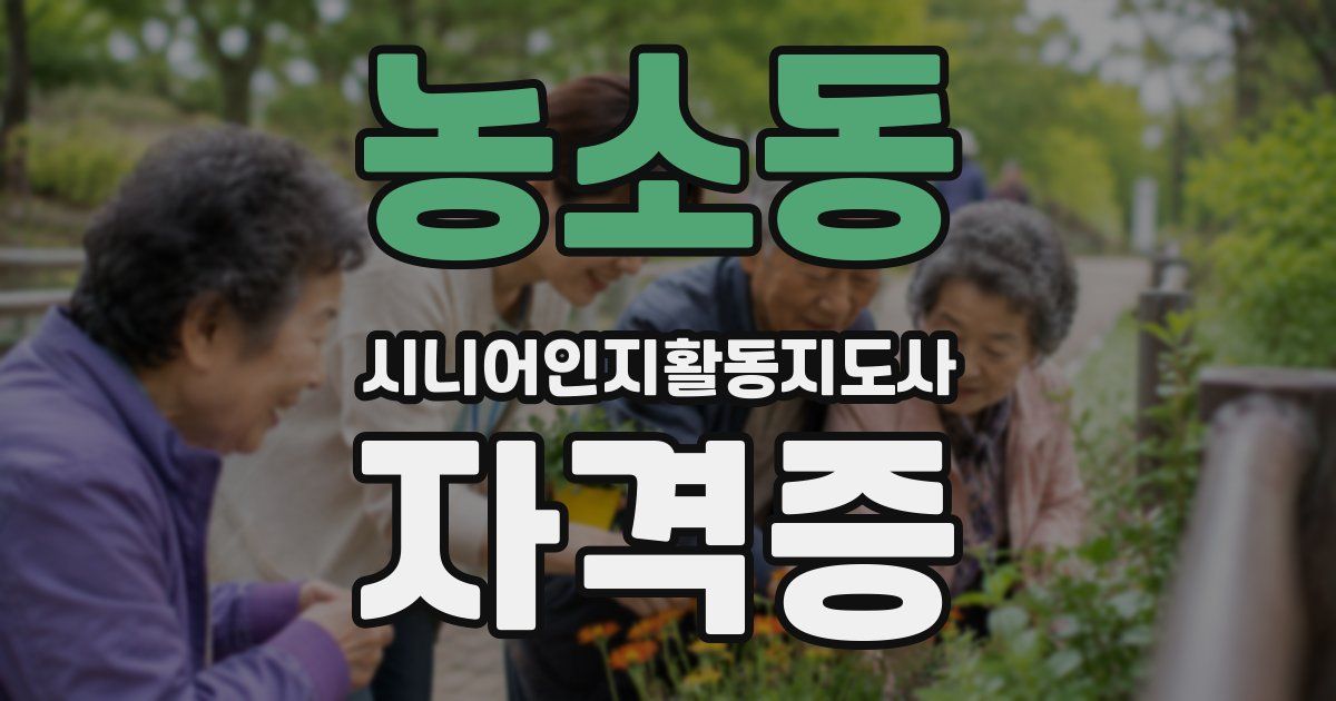 농소동 시니어인지활동지도사 자격증