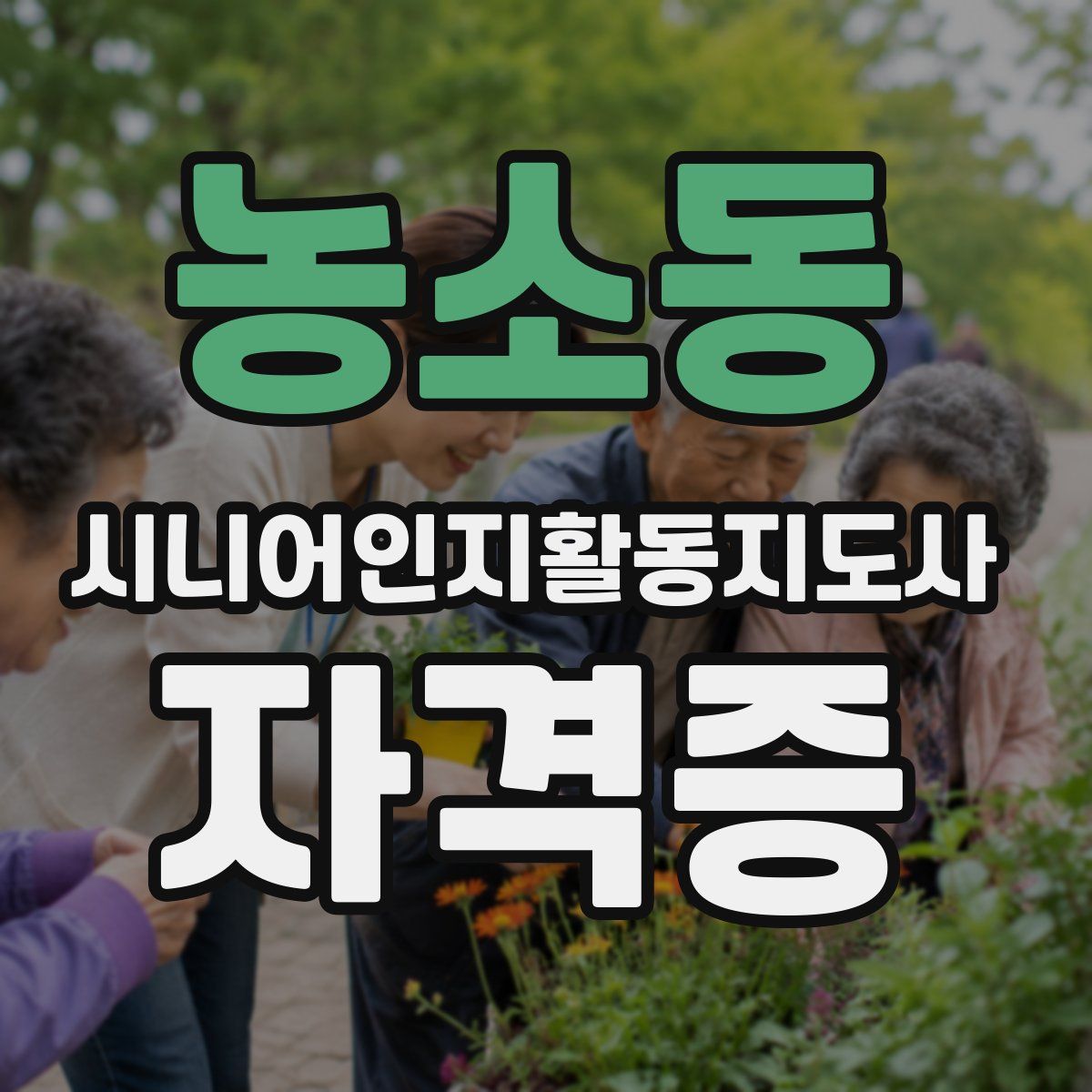 농소동 시니어인지활동지도사 자격증