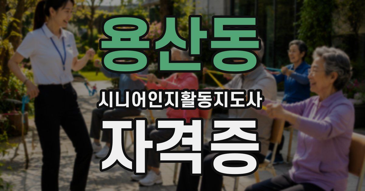 용산동 시니어인지활동지도사 자격증