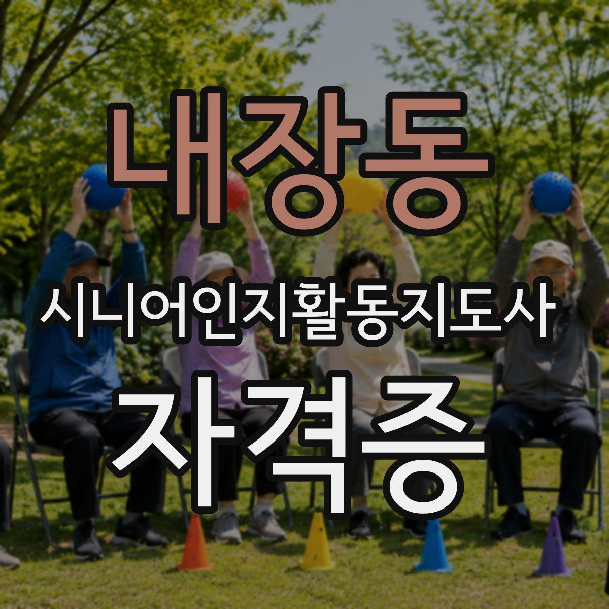 내장동 시니어인지활동지도사 자격증