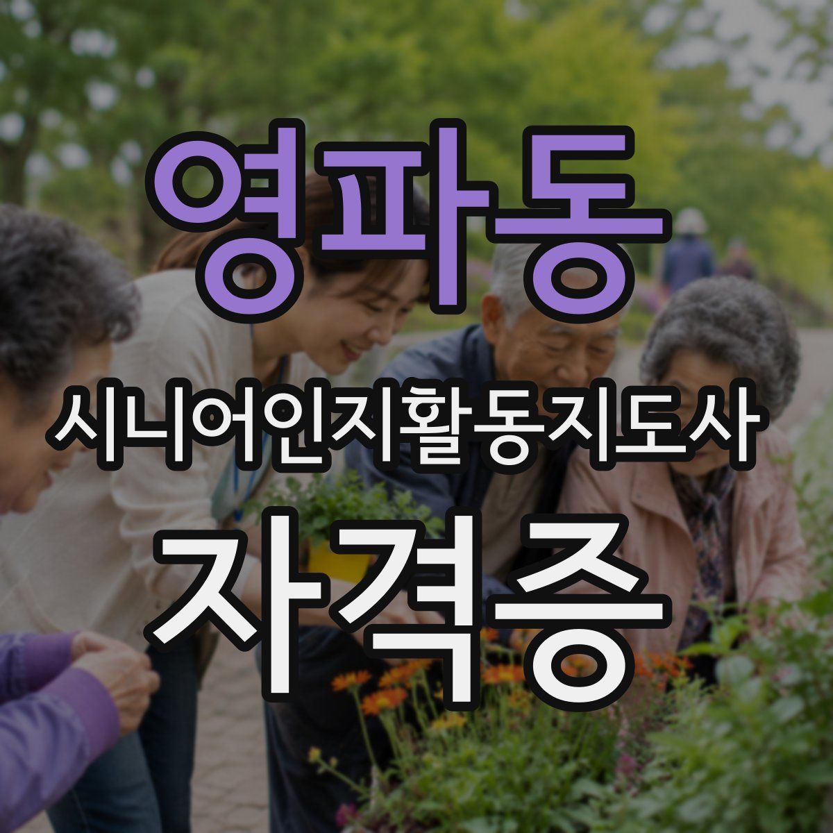 영파동 시니어인지활동지도사 자격증
