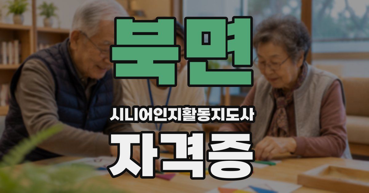 북면 시니어인지활동지도사 자격증