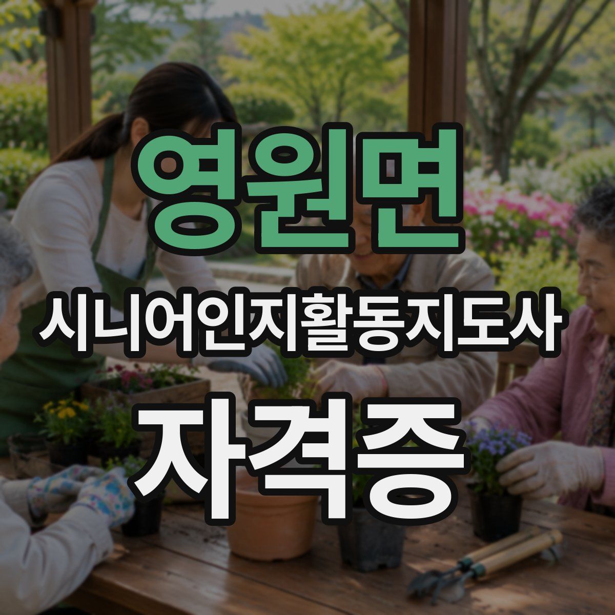 영원면 시니어인지활동지도사 자격증