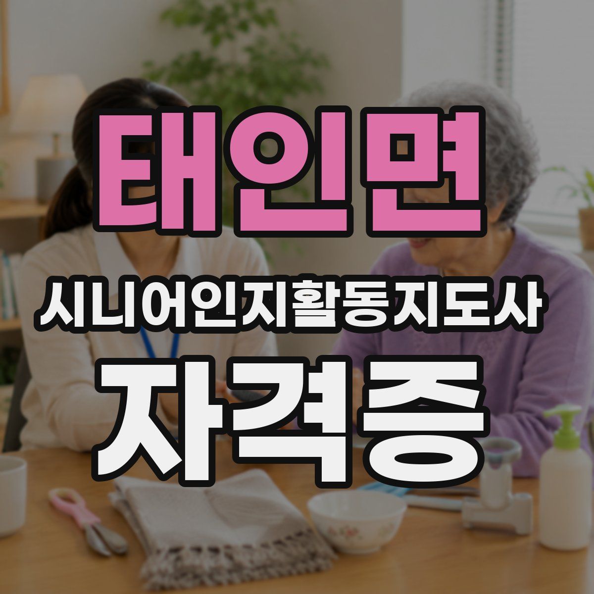 태인면 시니어인지활동지도사 자격증