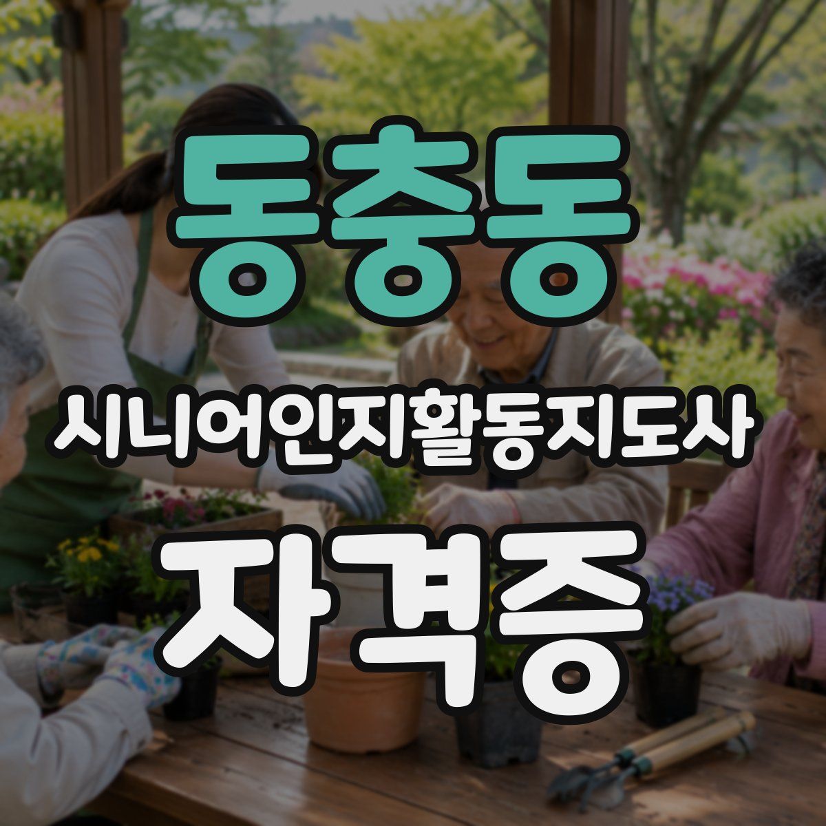 동충동 시니어인지활동지도사 자격증