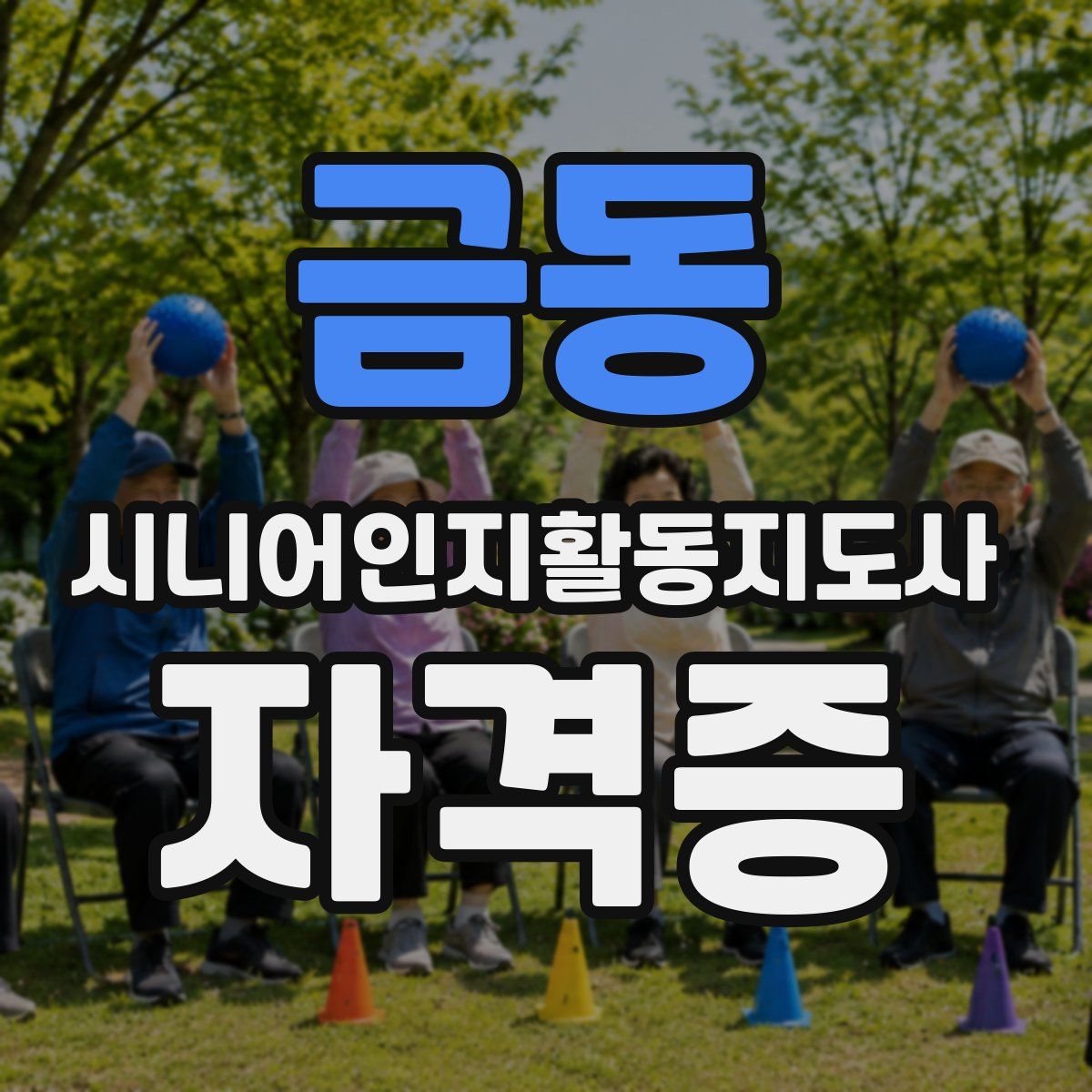 금동 시니어인지활동지도사 자격증