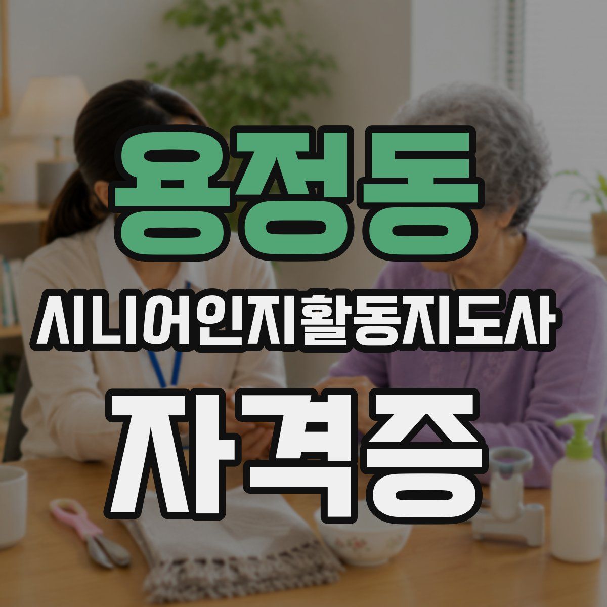 용정동 시니어인지활동지도사 자격증