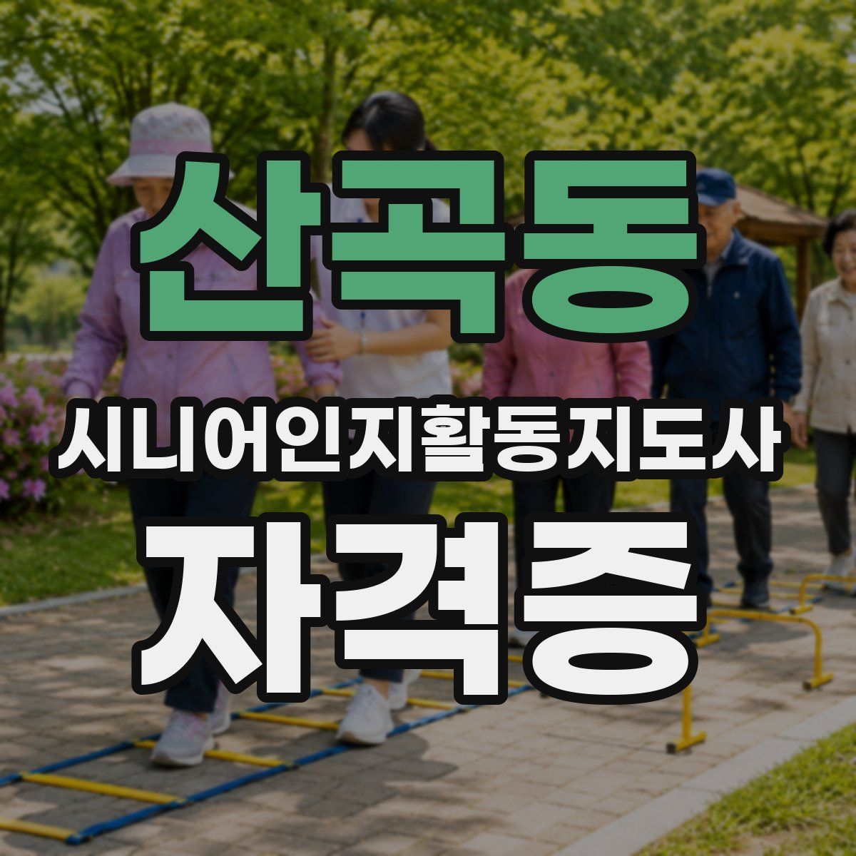 산곡동 시니어인지활동지도사 자격증