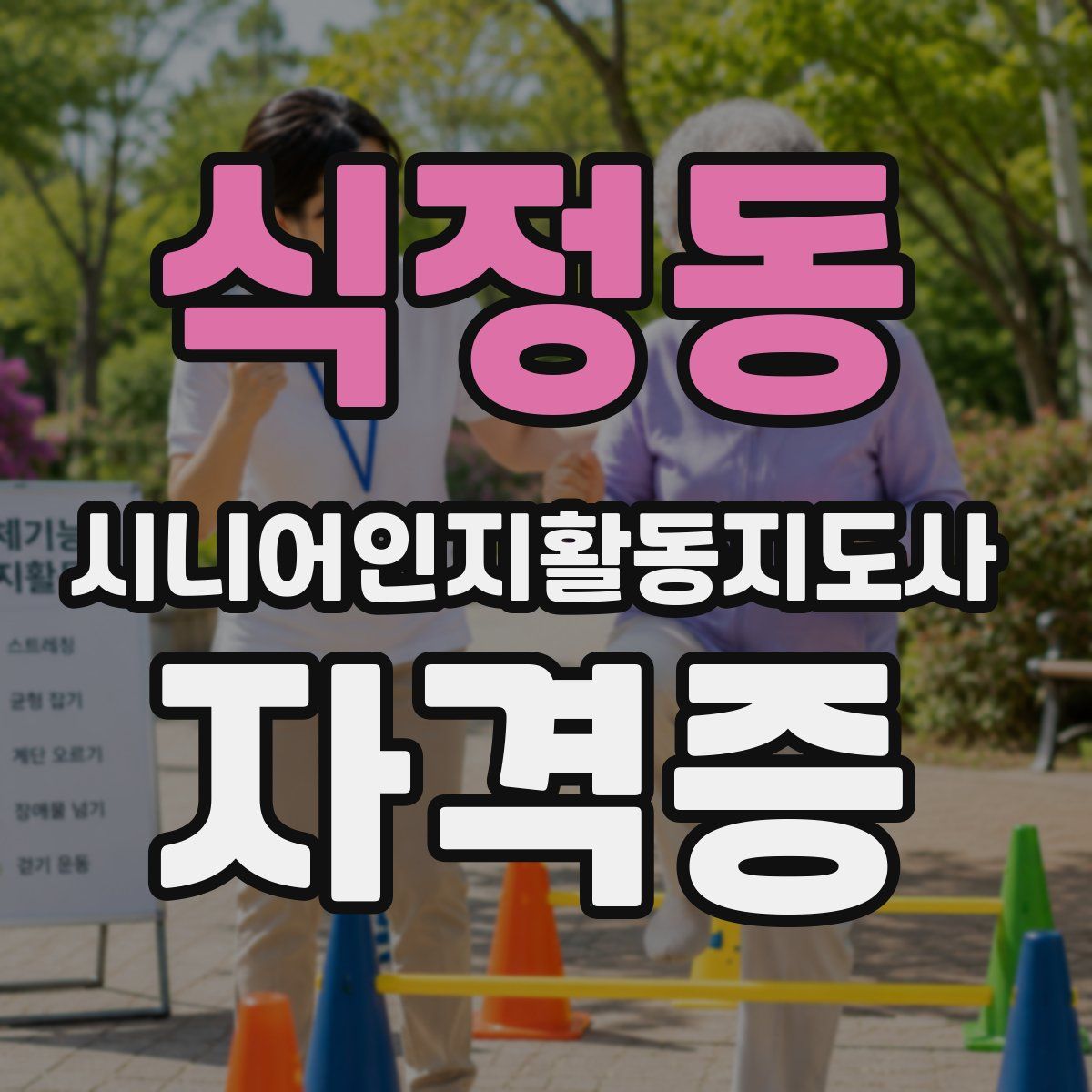 식정동 시니어인지활동지도사 자격증